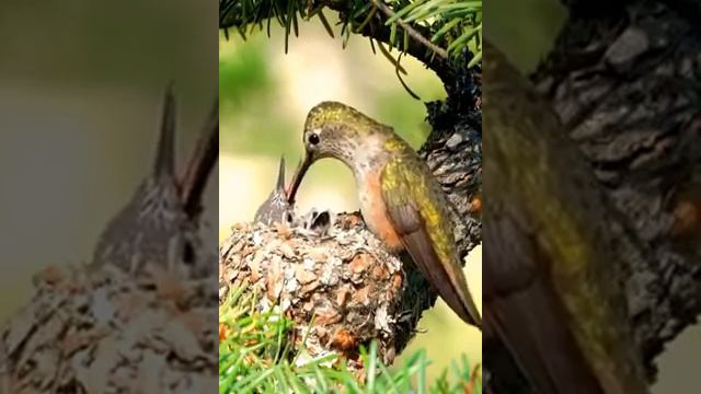 21 июня 2020 г. смотреть онлайн