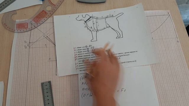 Построение выкройки и пошив безрукавки (кофты) для собаки или кошки.