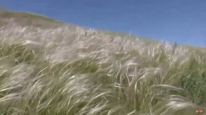 Русское поле 23 марта 2020 г.