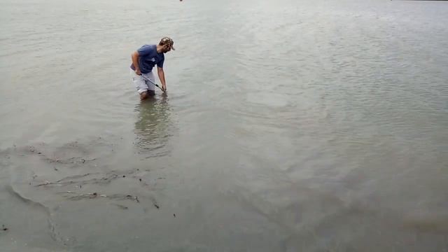 Ловля пеленгаса смотреть онлайн