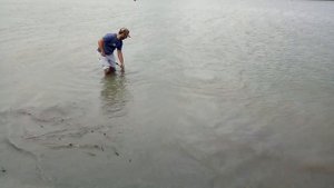 Ловля пеленгаса