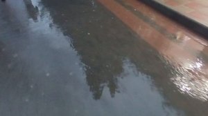 Кипарисовая аллея в Судаке 16.09.2024.mp4