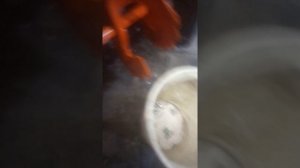 Ремонт снегоуборщика Patriot ps911(4)