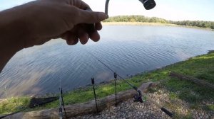 РЫБАЛКА НА КАРПА ОСЕНЬЮ, рыбалка на флэт-фидер