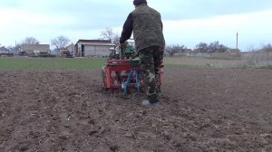 Посев люцерны мотоблоком! Сеялка не...