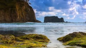 Афанасий Фет - На заре ты её не буди