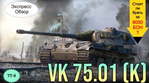 WOT. (Гайд) Брать ли за Боны VK 75.01 (K) ⚡ ? Немецкий  Премиум Тяжёлый танк 8-го уровня