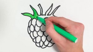 Как нарисовать Малину - Раскраска Малина Для детей - Рисунки Раскраски