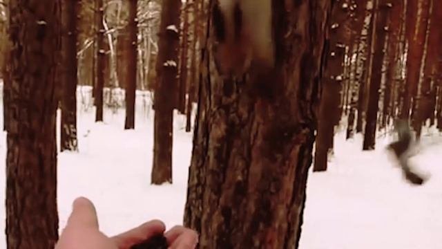 санаторий зимой