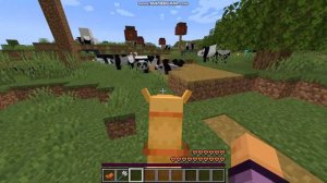 Верблюд - новое животное в Майнкрафт