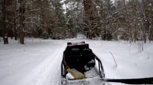Мотобуксировщик, гоняем по подмосковным лесам, зимние покатушки на мотособаке Baltmotors