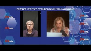 "Рассматриваем своих кошек глазами заводчика, как это делать", "Делимся опытом" выпуск 5