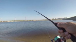 Тест Savage Gear Black Savage Dropshot 233cm 5-18g