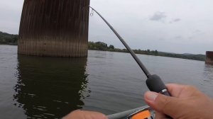 Some fish on the Yamaga Blanks Blue Current TZ 610 UL rod.