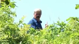 Болатаев Анатолий Сау бичъи