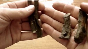 Марьин корень (пион уклоняющийся) - altaimatri.ru