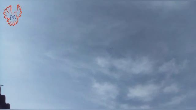 Голуби, Сидоренко Роман, Лебяжий остров, Краснодарский край. смотреть онлайн