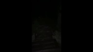 Отдых в Крыму зимой | бюджетный отдых | Новый свет⛰?