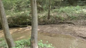 Река Чертановка