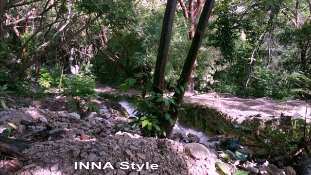 Успокаивающий звук ручья. Лесной ручей. Звуки природы. Шум воды. Горный ручей. Релакс