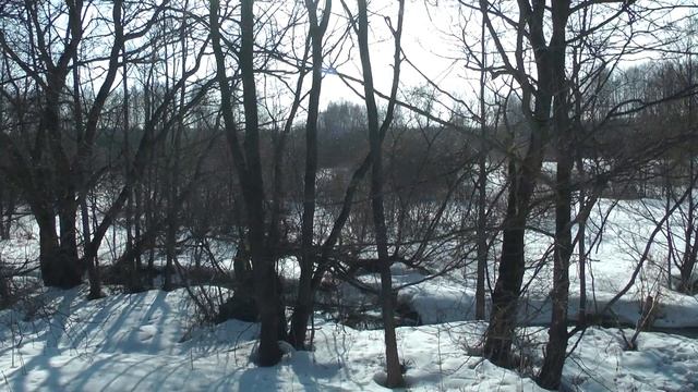 Мы продаём, а вы можете купить дом с выходом в лес у ручья. смотреть онлайн