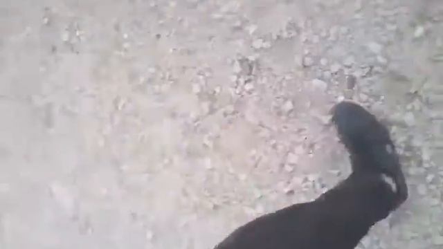 Бек Беач смотреть онлайн