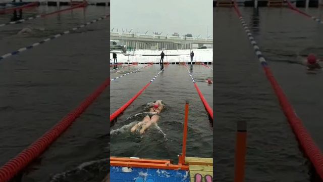 "Кубок Большой Невы 2023" по зимнему плаванию. Заплыв на 200 метров в ледяной воде. #winterswimming