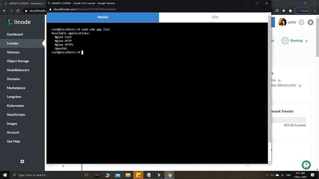 How to Install NGINX Web Server on Ubuntu 20.04 LTS - Golang Web Development