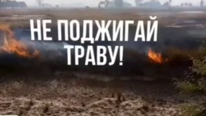 Соблюдайте правила пожарной безопасности в лесном массиве