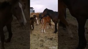 Замена аккумуляторов на спутниковом датчике...