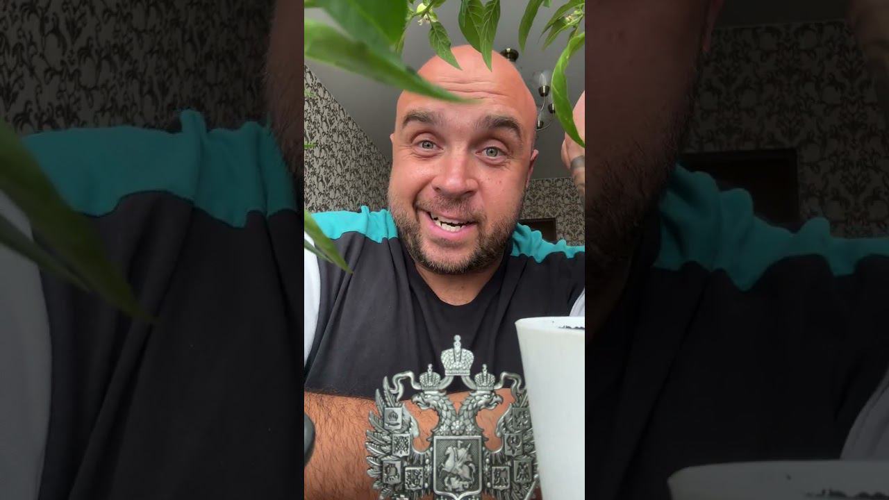 Глеб Жемчугов (Ведущий Глеб Жемчугов Крым) ПРЯМОЙ ЭФИР 27.07.24 смотреть онлайн