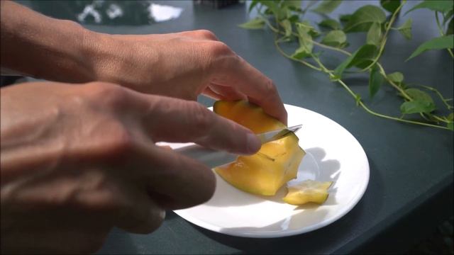 САМЫЕ экзотические фрукты которые вам стоит попробовать | Невероятные факты