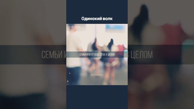 цитаты одинокий волк смотреть онлайн