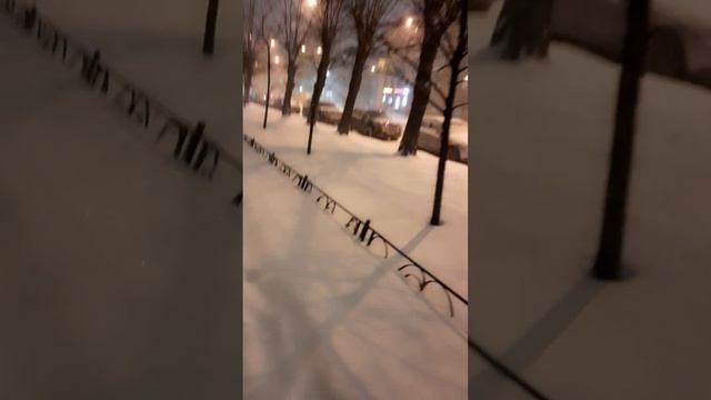 Снегопад в Питере