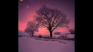 Winter Twilight Lullaby
