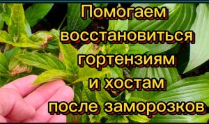 Накупила красоты🌺🍀