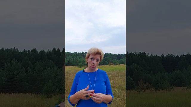 О взаимоуважении и соблюдении СНиП.
