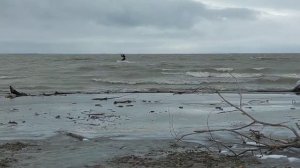 Зима в Краснодаре))14 января 2022 г.