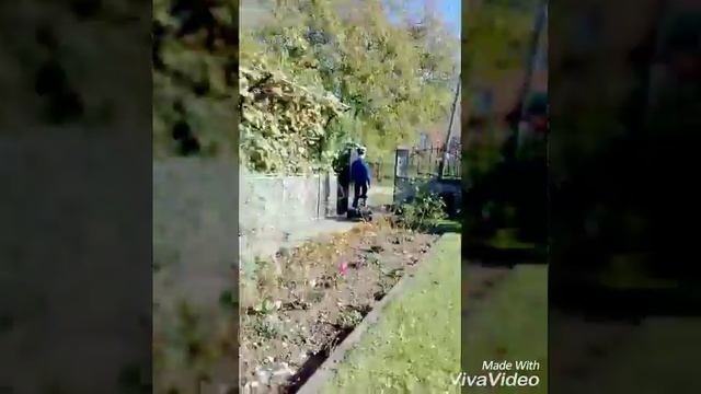 відио Гіроскутер смотреть онлайн