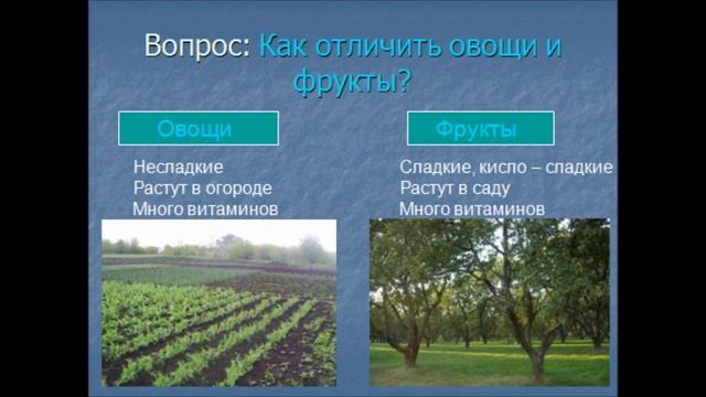 Почему нужно есть много овощей и фруктов