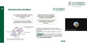 Fusarium spp Club de Revistas  Aislamientos Ambientales y Clínicos