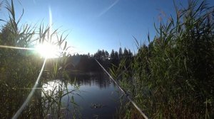 Спиннинг в июле  Сом на блесну. 2023