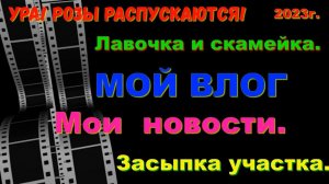 ВЛОГ. Распустилась роза. Собрал скамейку и лавочку. Засыпка участка. Мои новости. Влог.