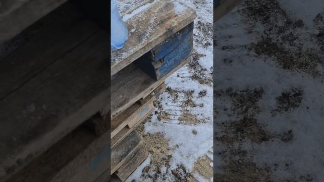 Караченская не замерзает смотреть онлайн