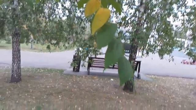 Парк Жукова Кемерово осень, дуб смотреть онлайн