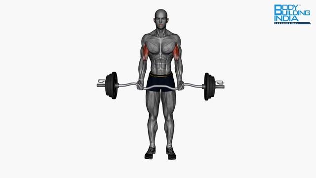 Biceps Workout | Exercise 27 | Ez Bar Biceps Curl Normal Grip | Bodybuilding India смотреть онлайн