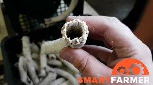 Экструдер кормовой шнековый ЭК-5-220