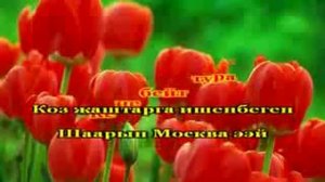 Гулжигит Сатыбеков Москва караоке