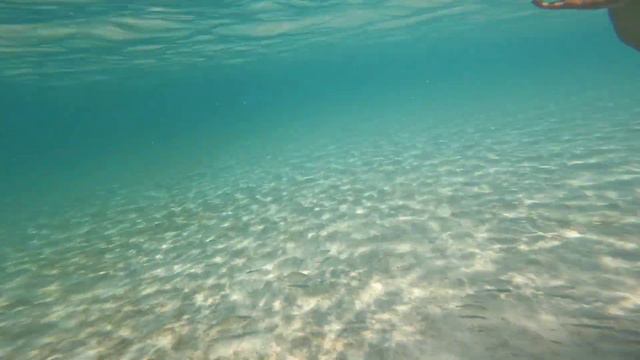 Ocean Club West Turks & Caicos '23 смотреть онлайн