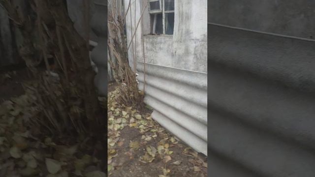 я и частный дом смотреть онлайн